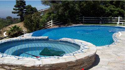 blue pool net on kidney-shaped pool