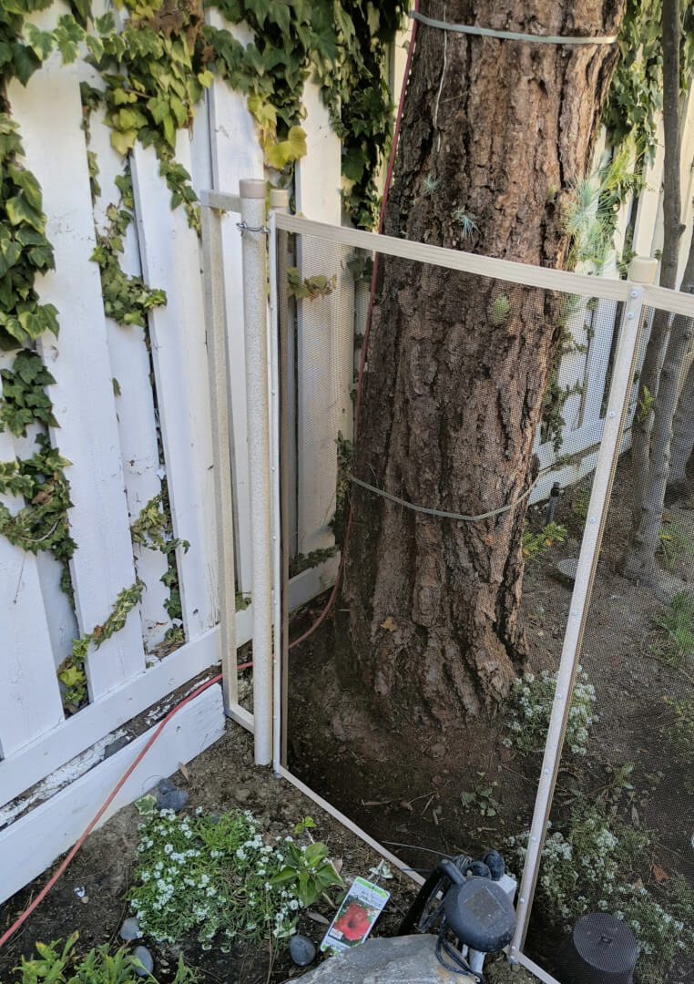 Piggyback Plus Installation