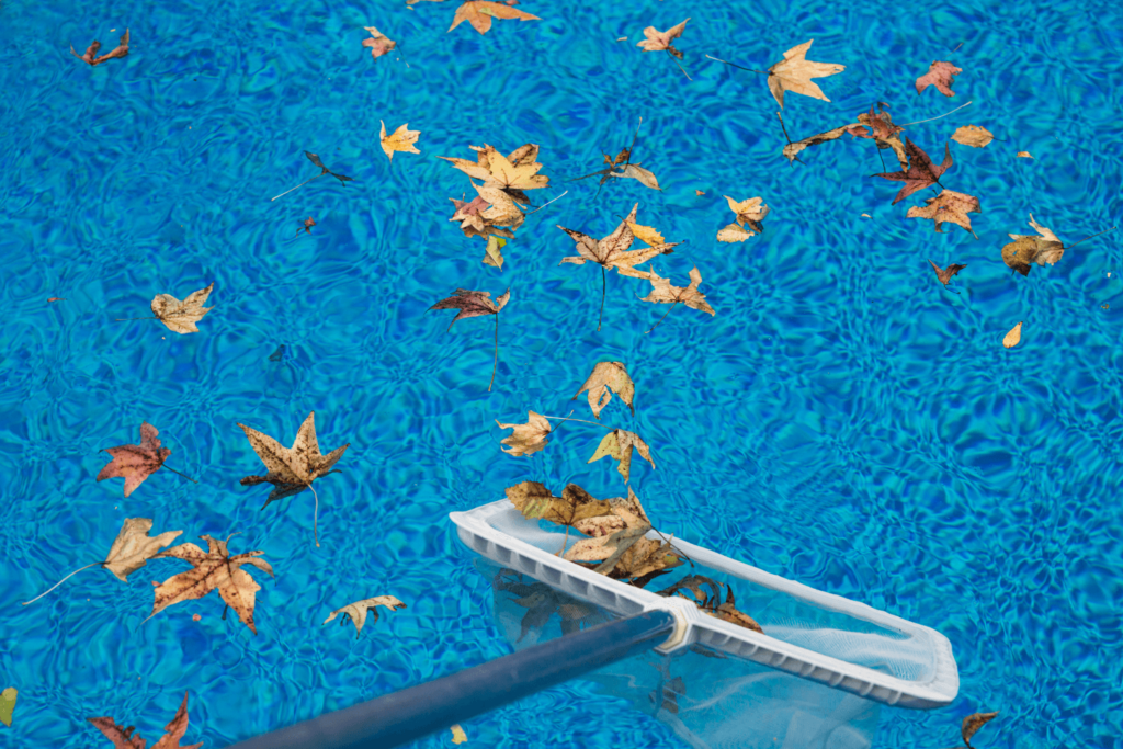 The Damage Leaves Can Do to Your Pool Insights by AllSafe Pools