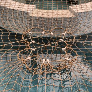 Safety Net CTS Installed on a Tan Net