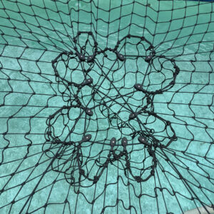 Black Pulley CTS system for net on pool