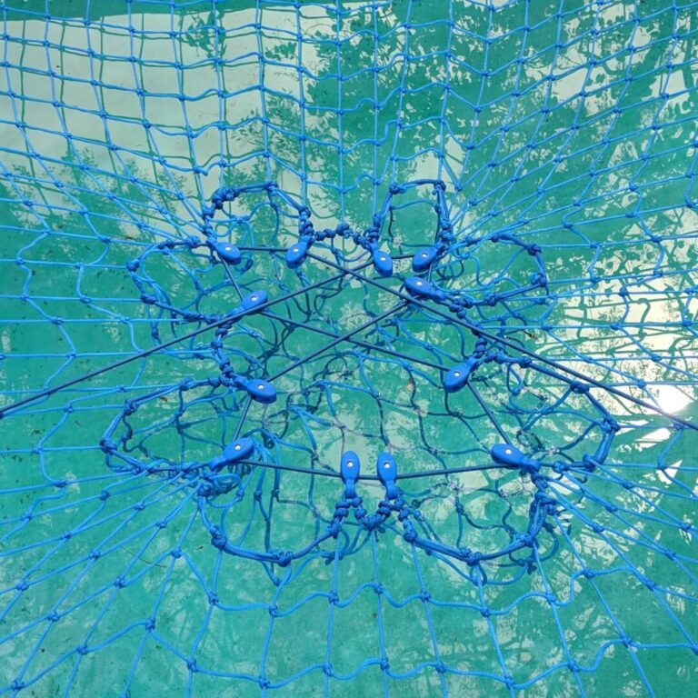 Blue Pulley CTS on pool