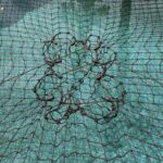 Brown Pulley CTS on pool