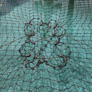 Brown Pulley CTS on pool
