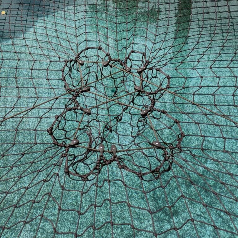 Brown Pulley CTS on pool