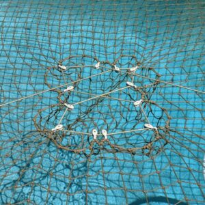 Tan Pulley CTS on pool