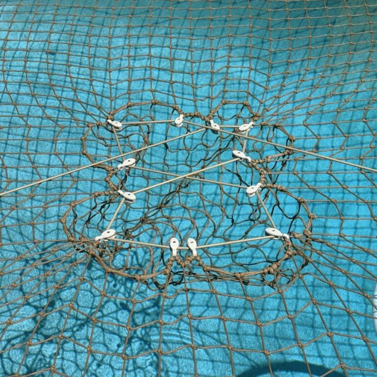 Tan Pulley CTS on pool