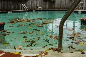 A pool filled with leaves floating in it