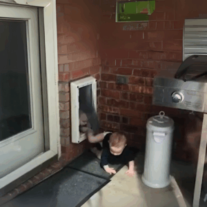 Access Points Like Doggy Doors