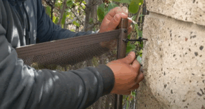 Hands attaching fence to wall
