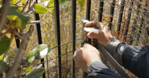 Hands attaching fence to round terminating post