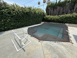 Black Leaf Cover (2)