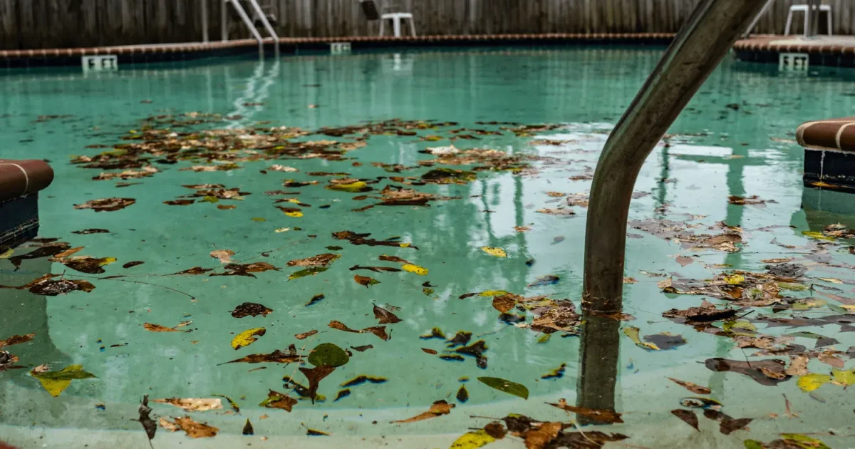 A pool filled with leaves floating in it