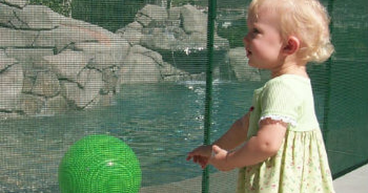 How safe is a mesh pool fence?