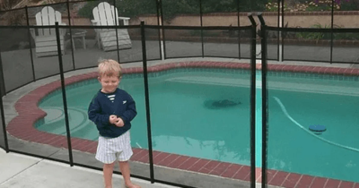 toddler standing in front of an installed pool safety fence